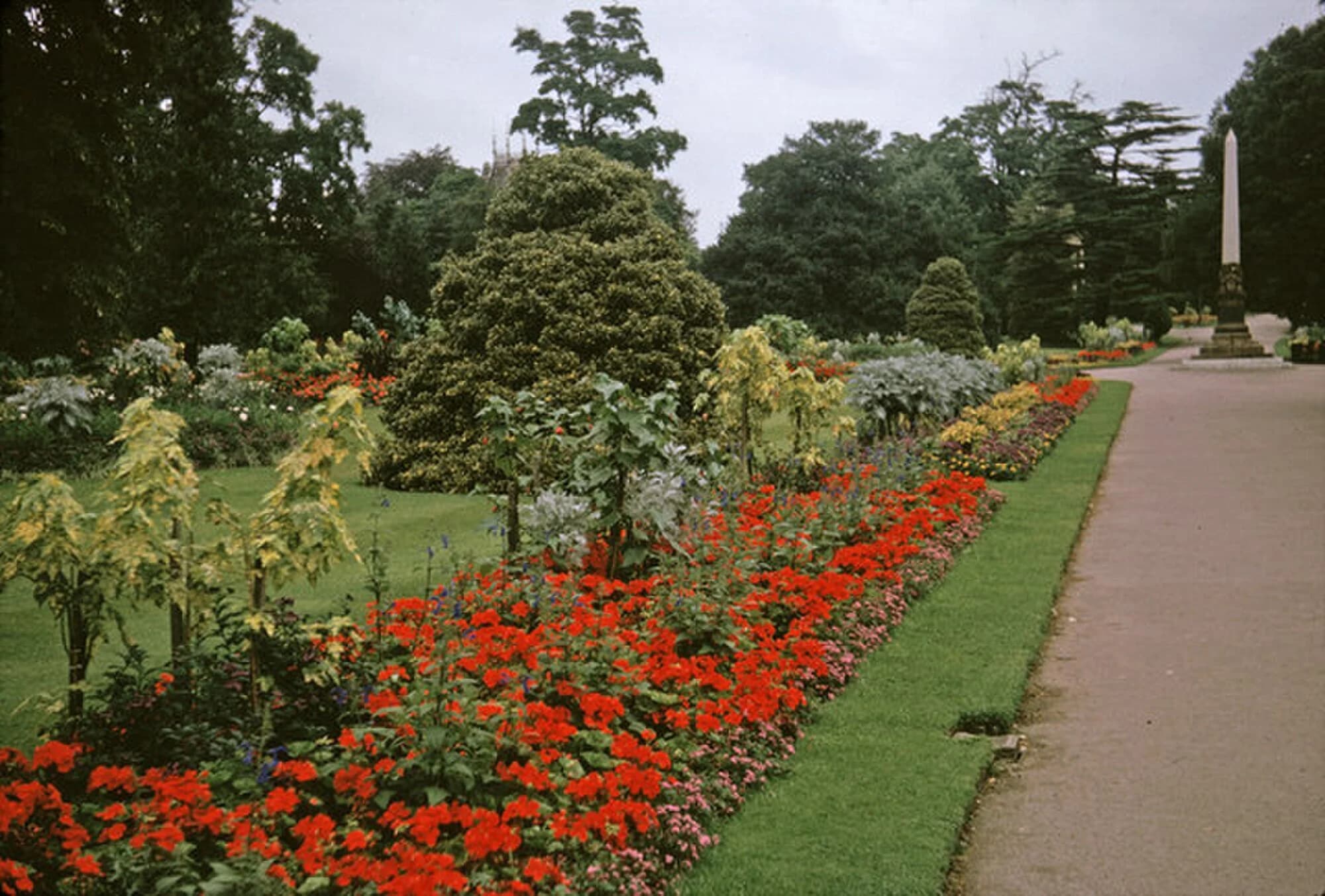 Vets in Royal Leamington Spa